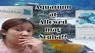 Aquarium Bahrain : First Floor