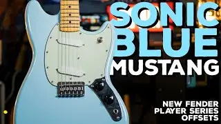 I HAVEN'T PLAYED ANOTHER GUITAR SINCE GETTING THIS! Fender Player Series Mustang Offset (Demo)