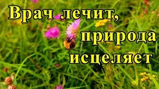Врачи лечат природа исцеляет