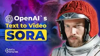 OpenAI Sora : Shocking new  Text-to-Video AI Model || DataBinaries || By Aasem Quazi