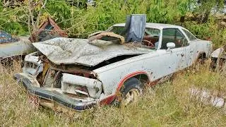 Junkyard Walk through Elmer's Auto Graveyard Part 3