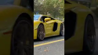 The Perfect Lamborghini Aventador