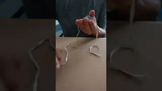 IT PASSES THRU! HOW!? EASY MAGIC TRICK