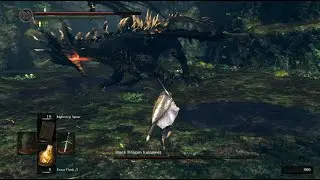 Dark Souls Remastered - Kalameet. I hate Kalameet