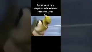 мем из тик тока 