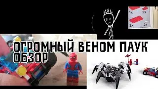 😎Обзор на огромного паука-венома (китайского)😎
