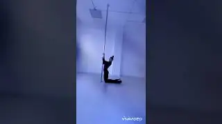 Velvet World от Shiadanni exotic pole dance