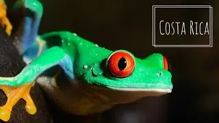 Costa Rica - El lugar mas intenso del planeta