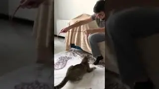 Hiç büyümeyen çocuk