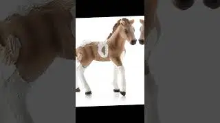 Исландские пони Шляйх