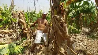 3 דקות - 16 עצים - 72 בעיטות      3minutes - 16 trees - 72 kicks