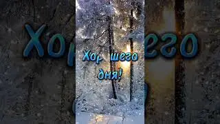 С добрым зимним утром! ❄️❄️❄️
