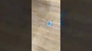 CrazyFlie 2.1 Flowdeck & Multiranger push test.