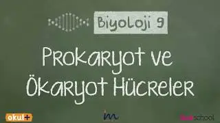 Prokaryot ve Ökaryot Hücreler