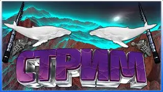РР3 СТРИМ  Турнир и ловля фина