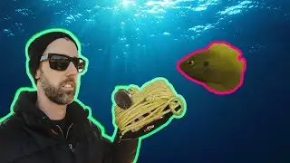 MAGNET FISHING GOPRO FISHING CHATTANOOGA