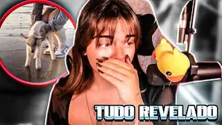 IMAUPPA REVELA TUDO O QUE ACONTECEU COM A MOCHI (CHOROU)