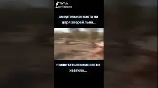 Человек охота