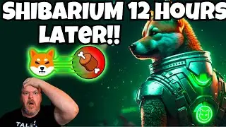 WHAT HAPPENED WITH SHIBARIUM? WHY IS SHIB DOWN? 