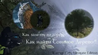 HOW TO FIND THE OWL TREE AND CLIMB IT IN WCUE? Roblox - Warrior Cats: Ultimate Edition