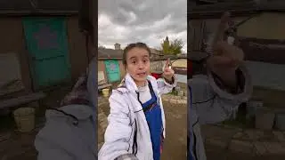 Правда о содержании коз