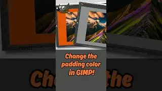 Change your Canvas Background in GIMP.