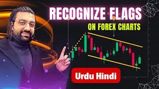 How to Recognize  Flags on Forex Charts Explained in Urdu / Hindi