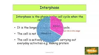 L.C. Biology Mitosis #1