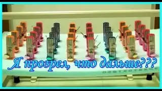 Просветление. Прозрение. Путь познания истины.