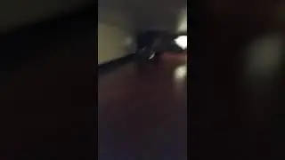 13 октября 2019 г.