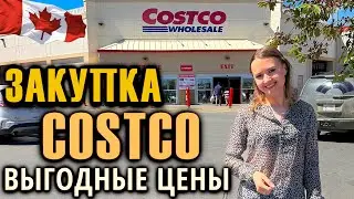 ЗАКУПКА В COSTCO ВЫГОДНЫЕ ЦЕНЫ / ВЫБОР ЛУЧШИХ ПРОДУКТОВ В КОСТКО