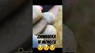 Żniwiarka trafia Żniwiarkę 😯😯😯