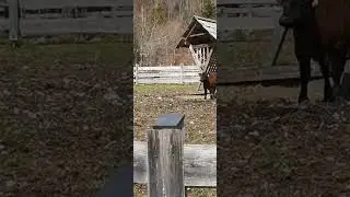 Не треба так робити – я сама боюся