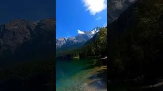 О чём мы жалеем в жизни? 