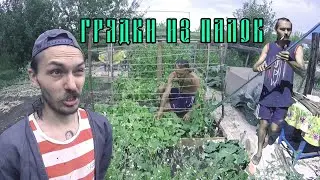 VLOG: ПЕРВАЯ ЛИНИЯ ГРЯДОК / МАЛЫШОВ ДМИТРИЙ