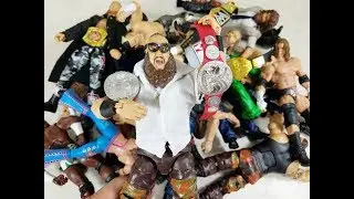 MOTHERLOAD OF CUSTOM WWE FIGURE FIX UPS