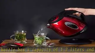 Moss & Stone Stainless Steel Electric Kettle, Cordless Pot 1.2L Portable Electric Hot Water Kettle,