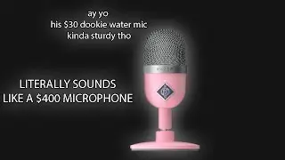 How I made a $30 USB Microphone sound like a $400+ STUDIO Microphone!