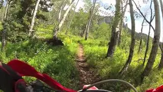 Nate's Creek Trail - Ouray CO Trip