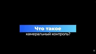 Что такое камеральный контроль?