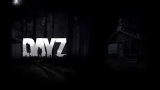 DayZ: Living Life