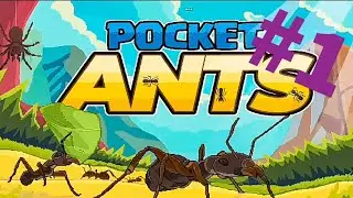 POCKET ANTS | Развиваем КОЛОНИЮ муравьев на андроиде | игра про муравьев на андроид. Прохождение