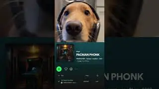 Is PACMAN PHONK a banger?🔥 