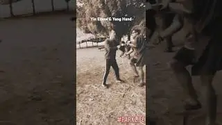 Yin Elbow to Seize with the Yang Hand to Attack Wuji Yi Lik Kuen Internal Kung Fu #BeWhole #ParkLife