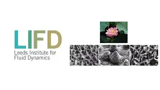 Fluid-driven approaches for precision surface patterning - Sepideh Khodaparast