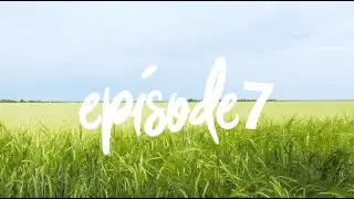 It's been a crazy year - Vlog Episode 7