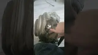Кто согласен, что коты спасут мир, ставьте лайк