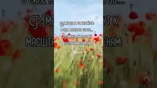 Сила маленьких шагов #шагиксвету Мотивация
