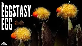 How to tie the Eggstasy Egg | Fly Tying Tutorial