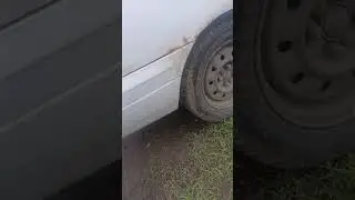кузовня Camino
